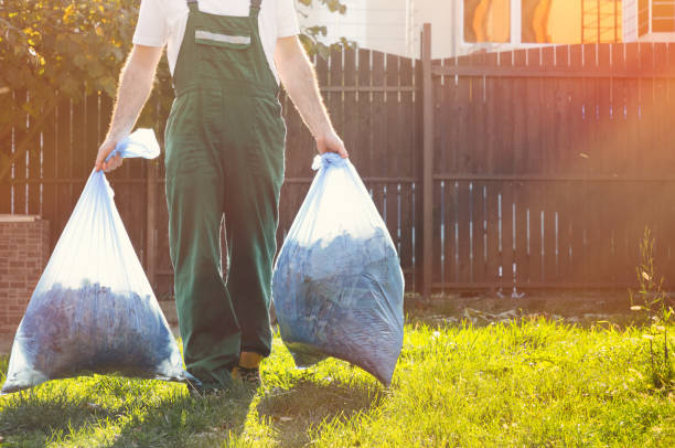 Best Same-Day Junk Removal Services  in Lake Hamilton, AR